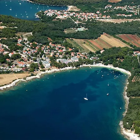 Oliva Pula