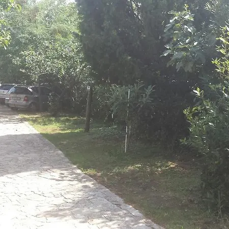 Oliva 3*