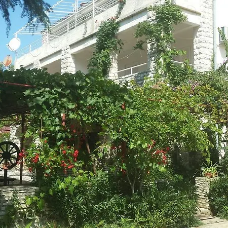Oliva